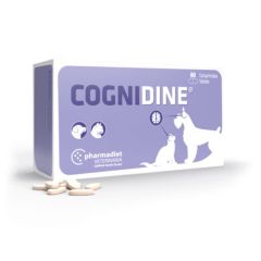 Cognidine (60 Tabletten )