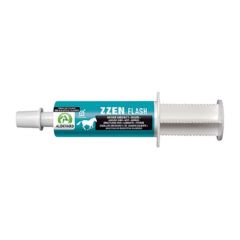 Zzen Flash Pferde 60 ml.
