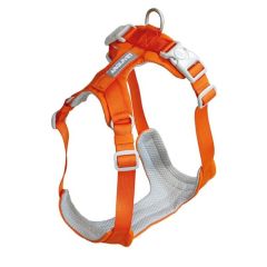 Geschirr Roma orange
