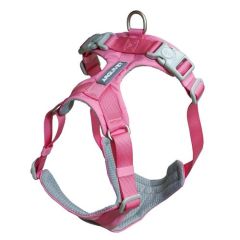 Geschirr Roma rosa