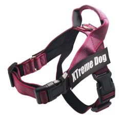 Geschirr Xtreme Classics Hund rosa