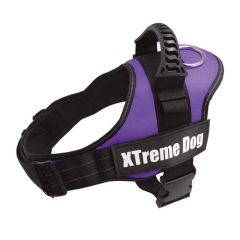 Geschirr Xtreme Hund lila