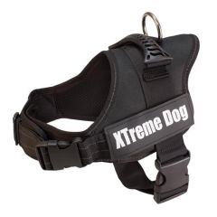 Geschirr Xtreme Hund schwarz