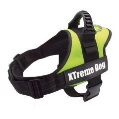 Geschirr Xtreme Hund grün