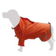 Regenmantel Hund Monte Vettore