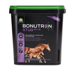 Bonutron Stud Pferde (Lieferung 3 - 5 Tages)