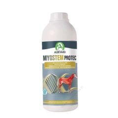 Myostem Protec Pferde (Lieferung 3 - 5 Tages)