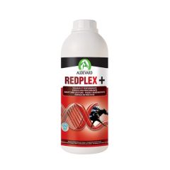 Redplex Pferde