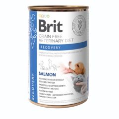 Brit GF Veterinary Diet Dog/Cat Recovery (Dosen)