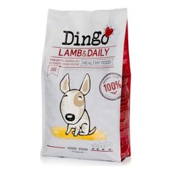 Dingo Lamb & Daily (Lamm)