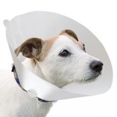 Tierärztliches Halsband für Hunde
