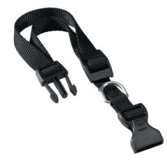Hundehalsband Club Schwarz