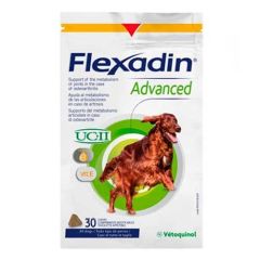 Chondroprotektor Flexadin Advanced für Hunde