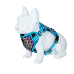 Gurtzeug Dog Freedog Boreal Blue Capri