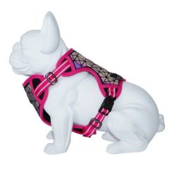 Gurtzeug Dog Freedog Boreal Fucsia