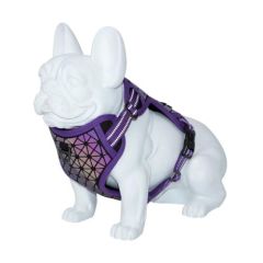 Gurtzeug Dog Freedog Boreal Purple