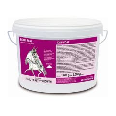 Equi2000 Foal Fohle (Lieferung 3 - 5 Tage)