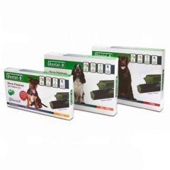Dental-B schmackhafte Bars