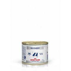 Royal Canin Dog/Cat Recovery (Dose)