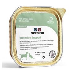 Specific F/C-IN-W Intensive Support (Dosen)