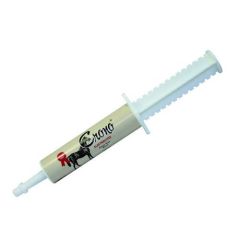 Crono Electrolytes Pferde