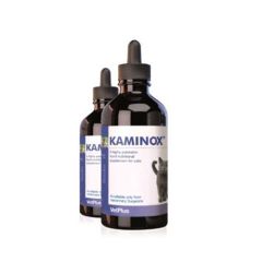 Kaminox Katzen