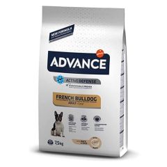 Advance Französische Bulldog