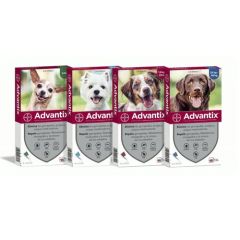 Pipetten Advantix für Hunde