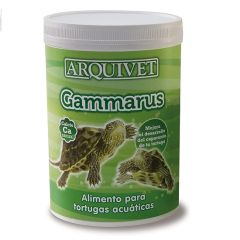 Arquivet Gammarus tortugas (Lieferung 3 - 5 Tages)