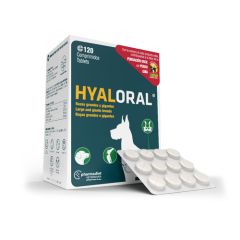 Chondroprotektor Hyaloral für Hunde