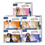Pipetten Effitix für Hunde