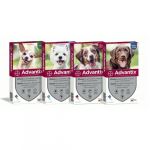 Pipetten Advantix für Hunde