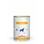 Royal Canin Dog Cardiac (Dose)
