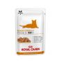 Royal Canin Cat Early Renal (Beutel)