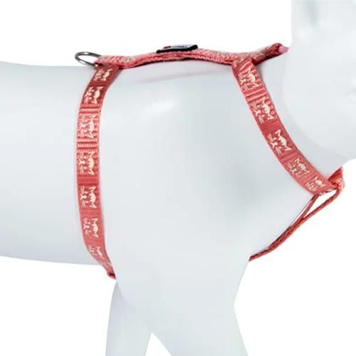 Reflektierender Katzenharness Freecat 10 mm x 19/30 cm