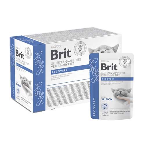 Brit GF Veterinary Diet Cat Gravy Recovery (Sobres) - 85 gr x 12