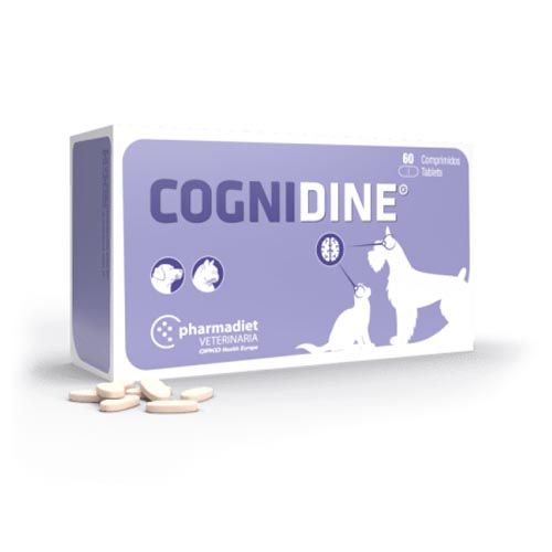 Cognidine (60 Tabletten )