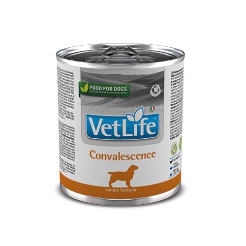 Farmina Vet Life Convalescence (Dosen) 300 gr x 6