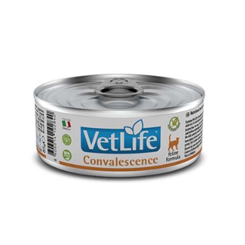 Farmina Vet Life Convalescence Katze (Dosen) 85 gr x 12