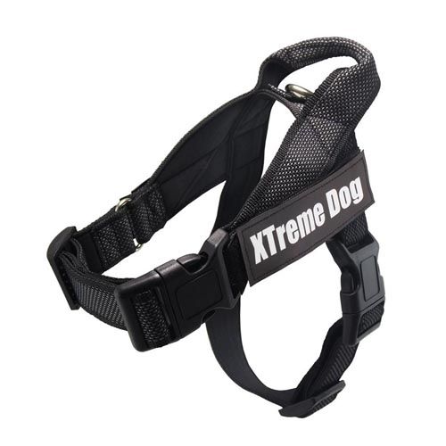 Geschirr Xtreme Classics Hund schwarz