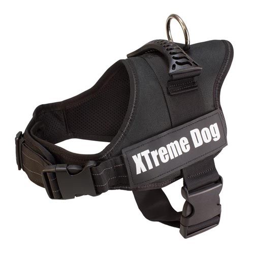 Geschirr Xtreme Hund schwarz
