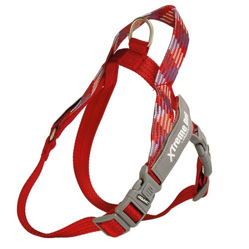 Geschirr Xtreme Hund Piemonte rot