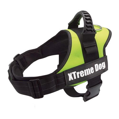 Geschirr Xtreme Hund grün
