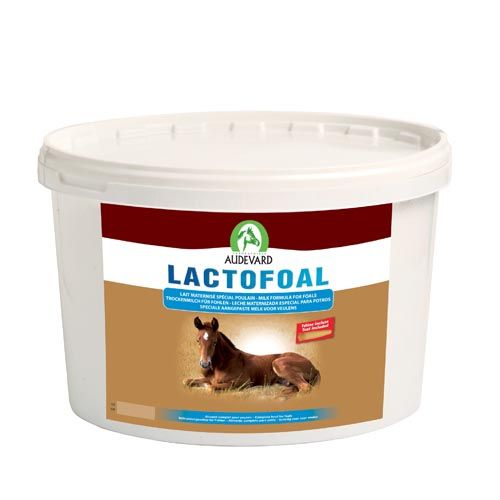 Lactofoal Pferde