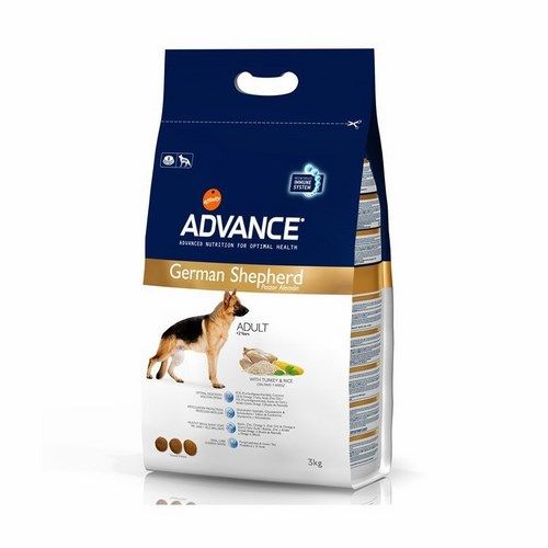 Advance German Shepherd
