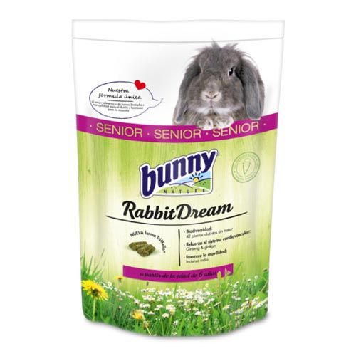 Bunny Kaninchen Dream Senior