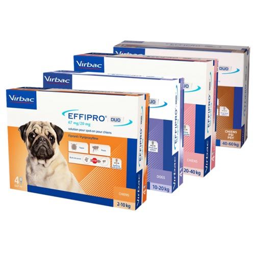Effipro Duo Pipetten anti-Parasit für Hunde