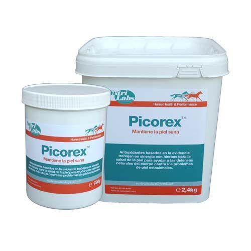 Picorex Pferde (Lieferung 3 - 5 Tages)