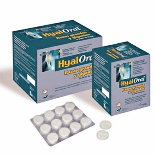 Chondroprotektor Hyaloral für Hunde