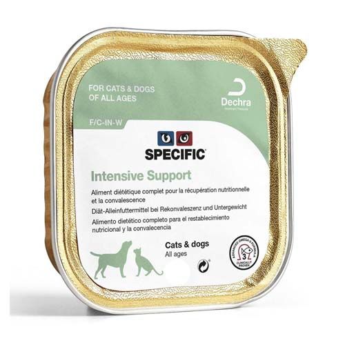 Specific F/C-IN-W Intensive Support (Dosen)